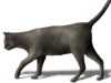 Captcha image 2428